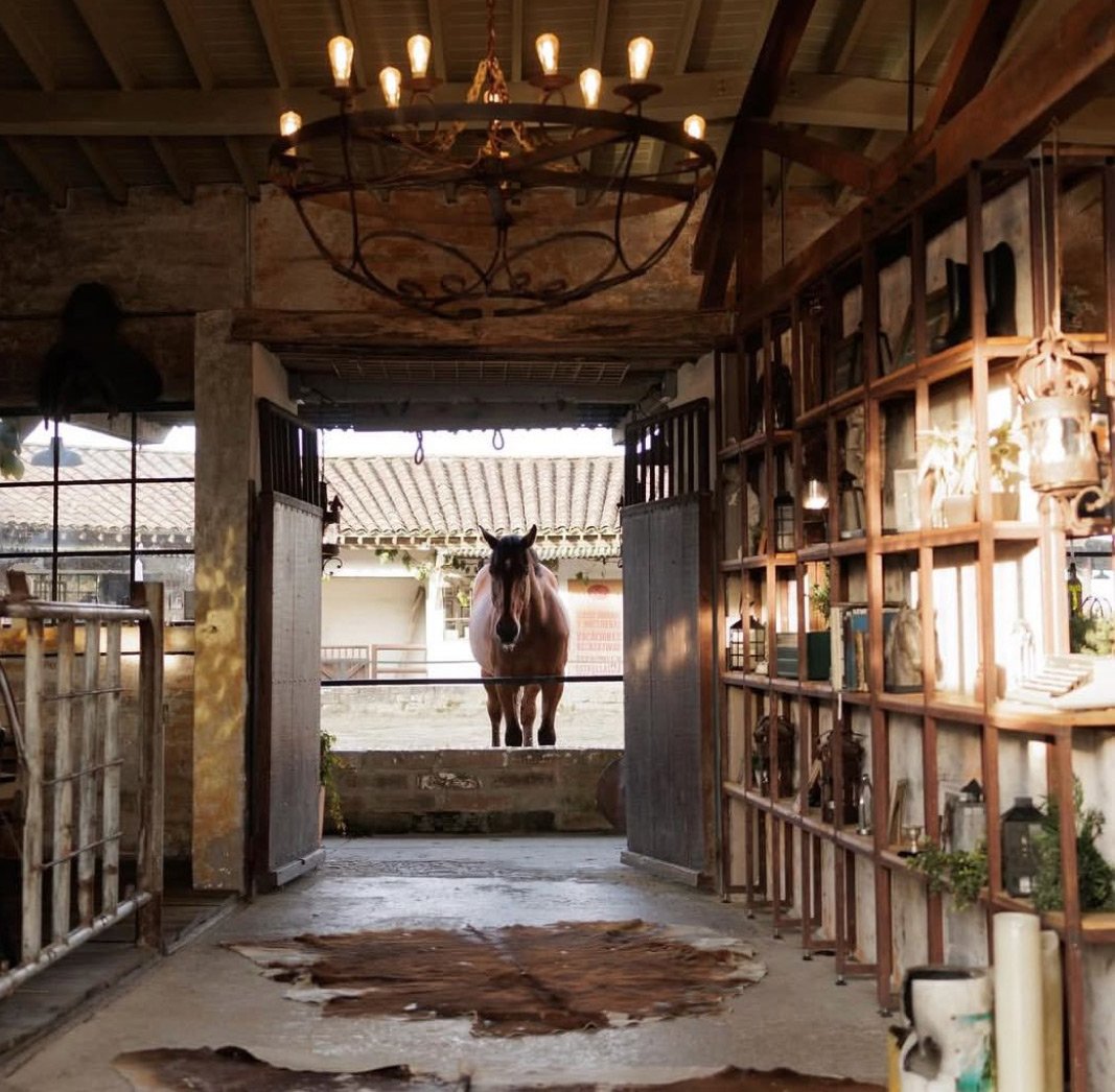 Valentina-y-Christopher-Fiesta-Bienvenida